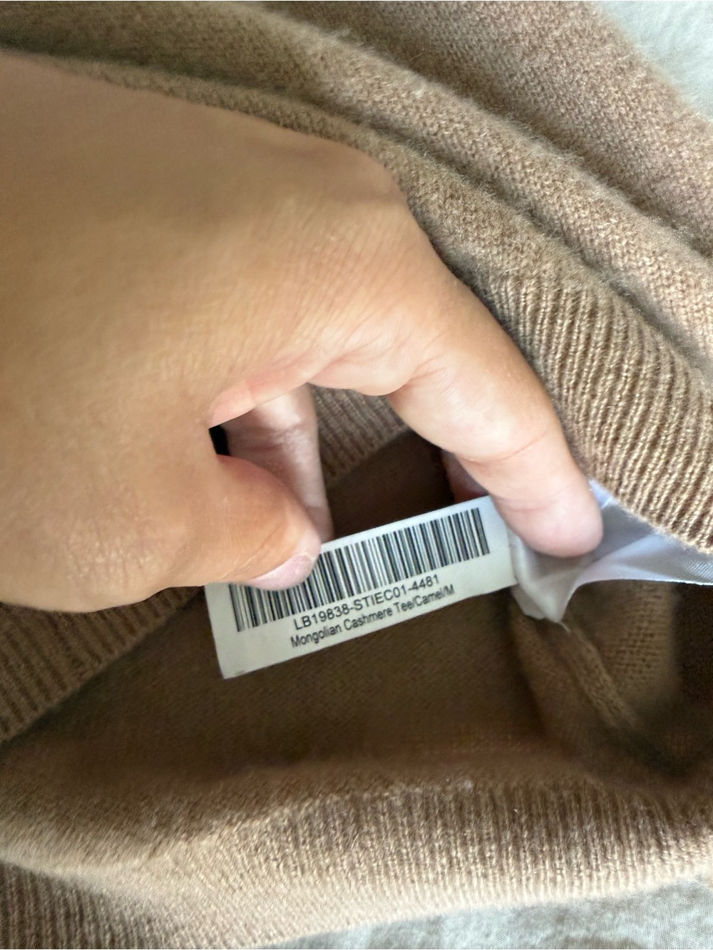 Quince Mongolian Cashmere Tee - Picture 6 of 6